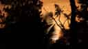 Thumbnail of photograph IX by Harsh Gupta
