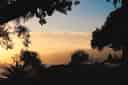 Thumbnail of photograph XIV by Harsh Gupta