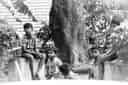 Thumbnail of photograph XIV by Harsh Gupta