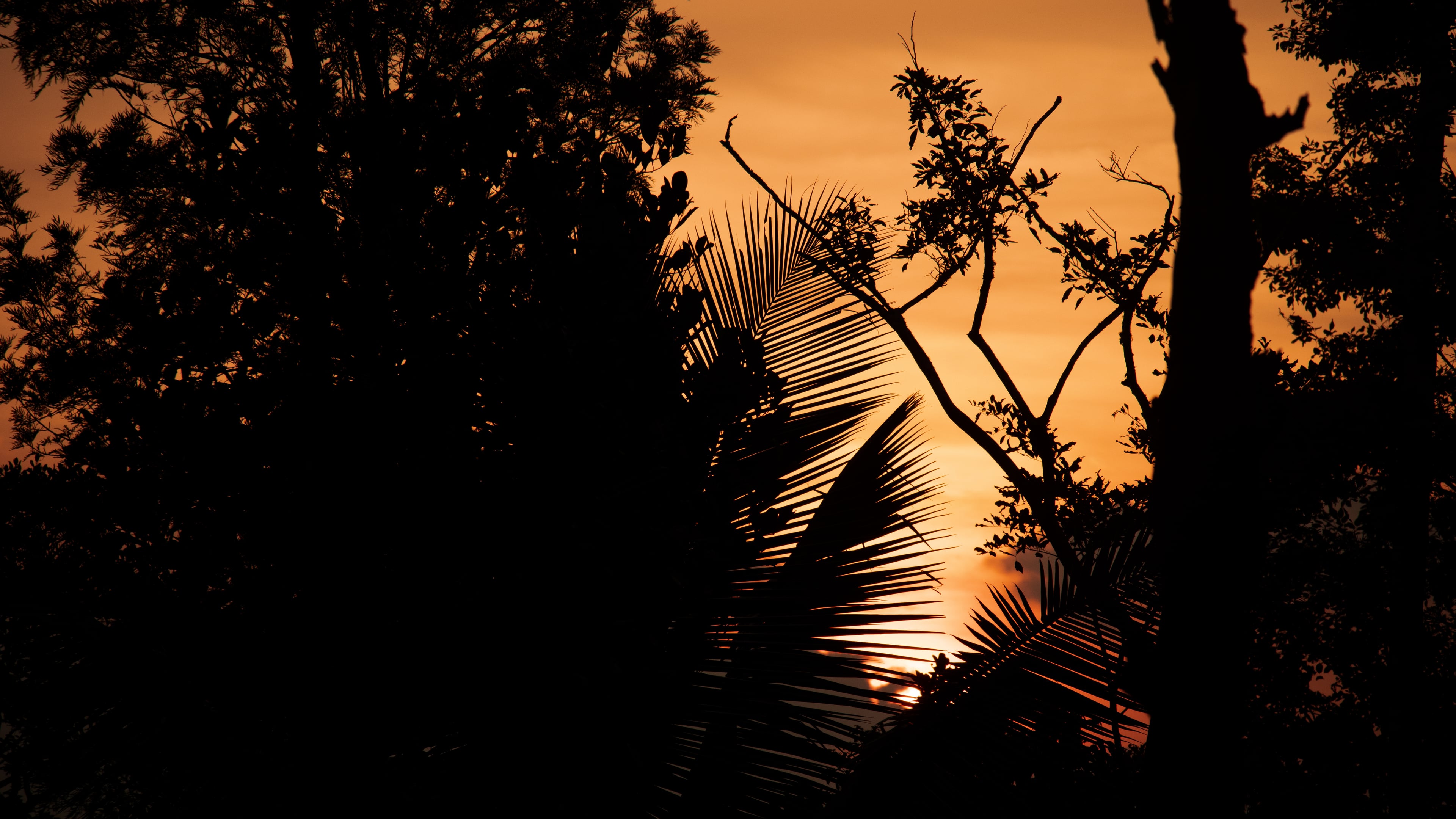 Photograph IX — Landscape photography by Harsh Gupta